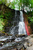 Bitchin waterfall on the way back from angel's rest.  The red stuff is a bunch of new shoots from a plant that hung down the full length of the falls.