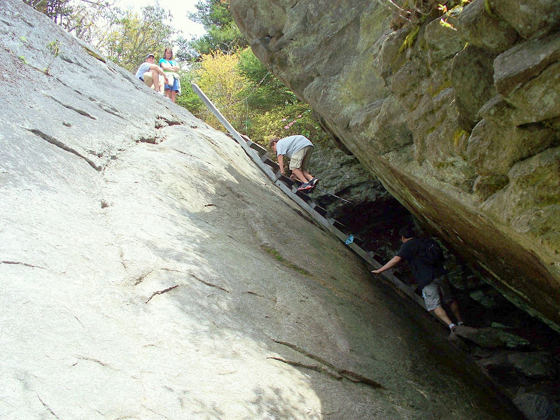 Nervous As a LongTailed Cat in a Room Full of Rocking Chairs (Grandfather Mtn, NC)