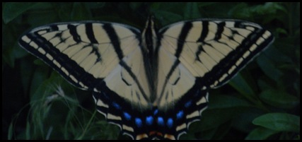 DSCN1292