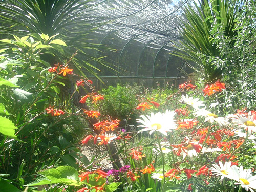 flora nativa del uruguay