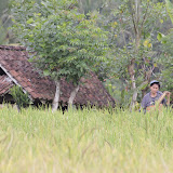 IMG_0009.JPG