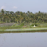 IMG_0014.JPG
