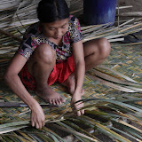IMG_9797.JPG