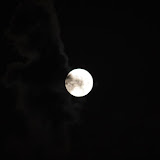 IMG_9624.JPG