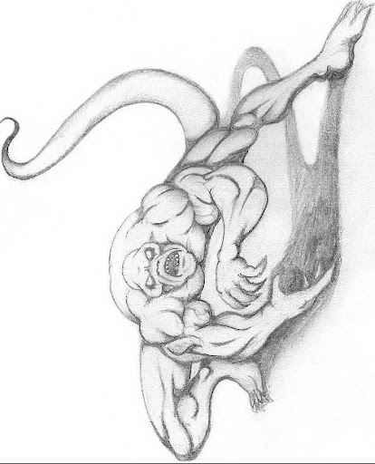 rose tattoo patterns