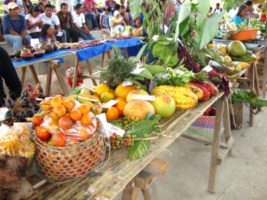 LISTA LA AGENDA DE LA PACHAMAMA RAYMI