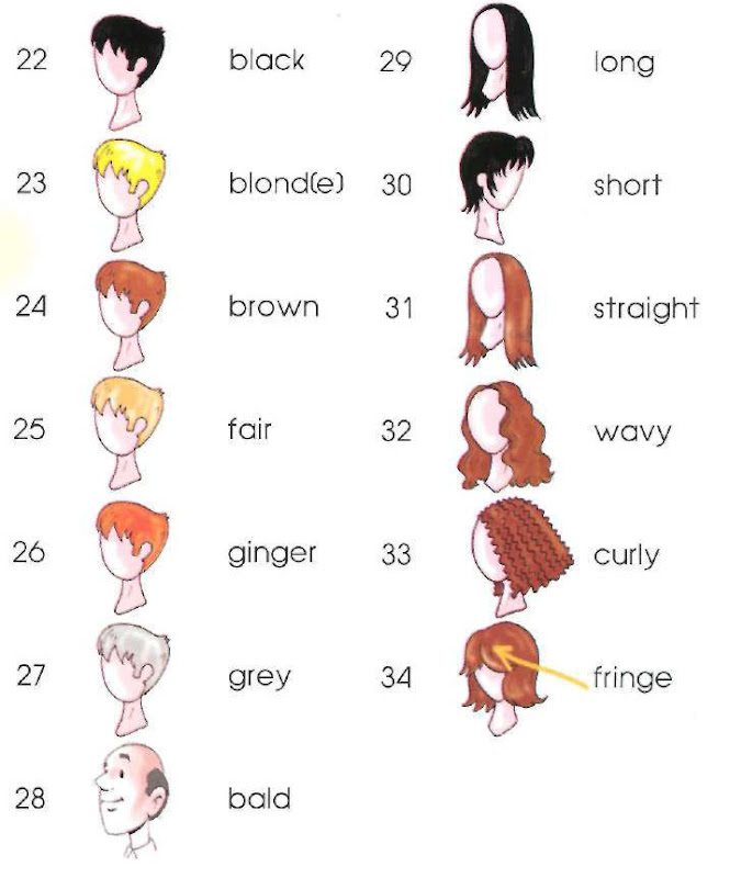 Verbs That Describe Mens Hair 119