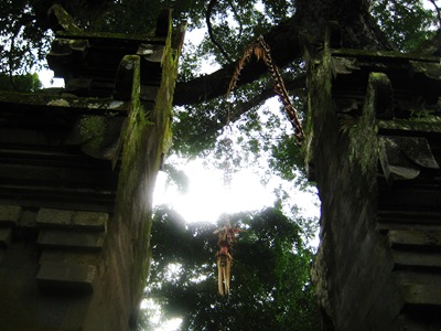 [IMG_78013.jpg]
