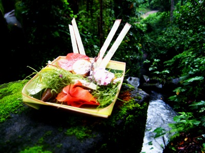 [IMG_78127.jpg]