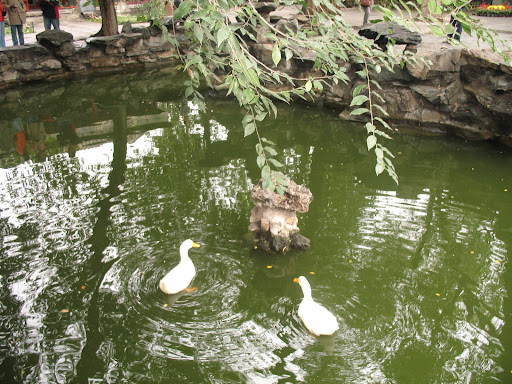 毛主席纪念堂:maozhuxi-1050613