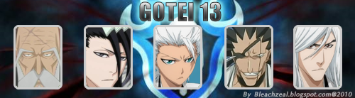 13 หน่วยพิทักษ์ gotei 13