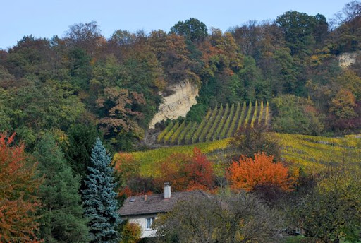 2009 Fall in Basel, Switzerland