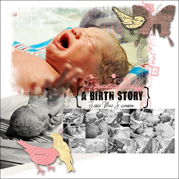 A birth Story copy