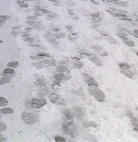 [footsteps-snow10.jpg]