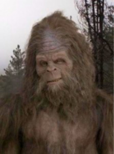 [sasquatch1223x3006.jpg]