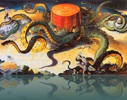 octopus