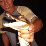 Amazônia