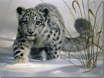 snow_leopard