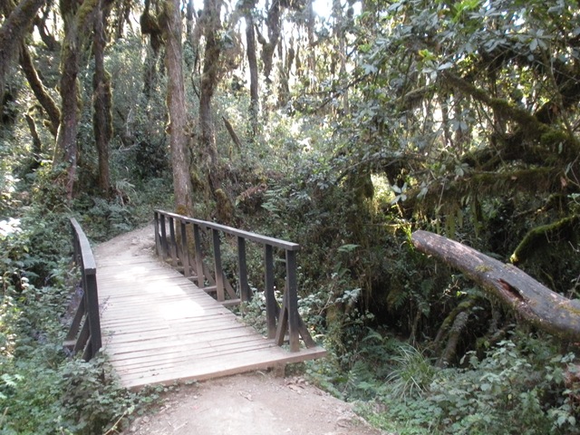 [DSCN06222.jpg]