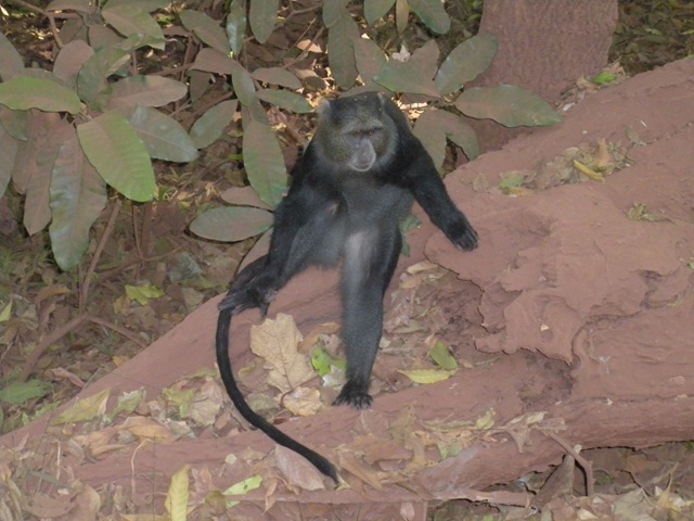 [DSCN06363.jpg]