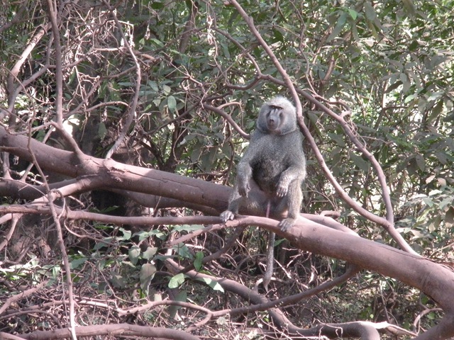 [DSCN06542.jpg]