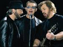 bee gees