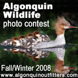 AOFallWinterPhotoContest.jpg