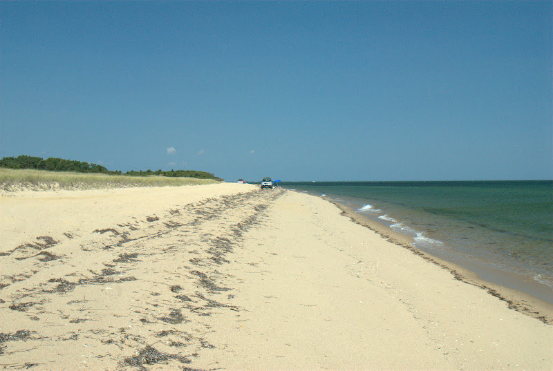 DSC_0008.jpg
