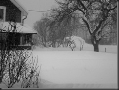 Februari 012