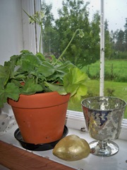 20100729 052