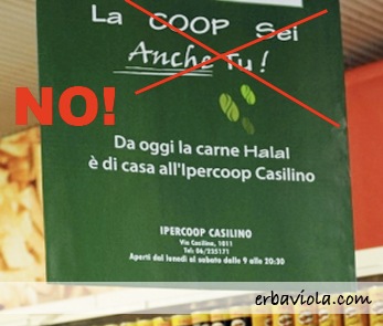 [halal1[4].jpg]