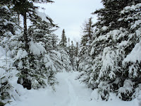 DSC03338.JPG Photo