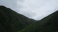 IMG_0414.JPG Photo