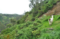 DSC_0016.JPG Photo