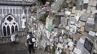 IMG_0444.JPG Photo