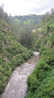 IMG_0451.JPG Photo