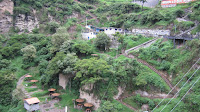 IMG_0445.JPG Photo