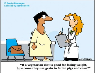 Vegetarianismo pergunta estúpida