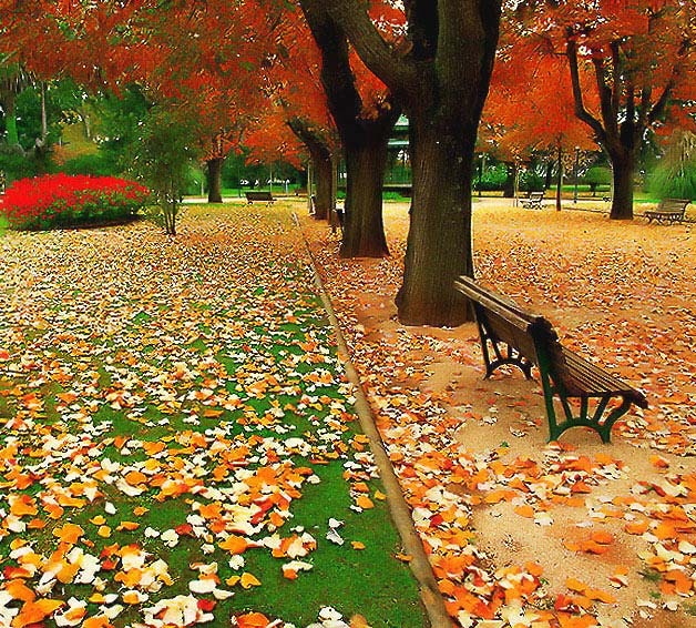 [jardim no outono[10].jpg]