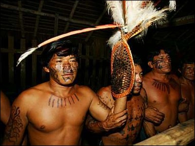 ritual de iniciação da Tucandeira