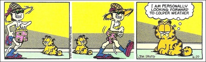 garfield à procura do frio