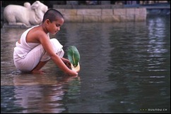 Water água de deepa mehta