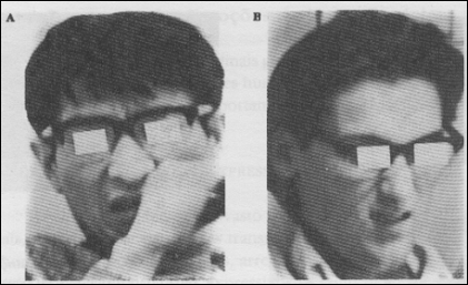 Estudo de Ekman e Friesen expressão facial
