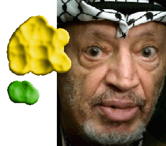 Arafat copy