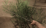 siris_farcry2_17.jpg