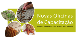 Novos Cursos de Capacitação