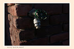 DSC00520_hf.jpg