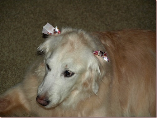 ella bows