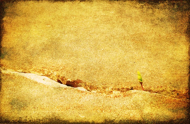 [texture experiment #1[3].jpg]
