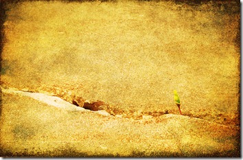 texture experiment #1